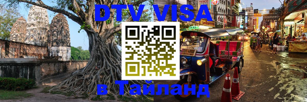 Сколько стоит DTV виза — актуальные цены, оформление даже без документов - 